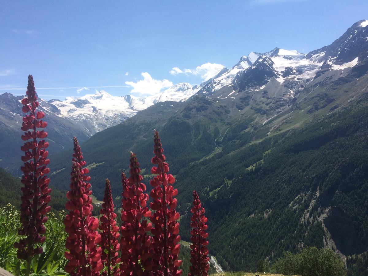 Apartment Bergfreude Saas-Grund Dış mekan fotoğraf