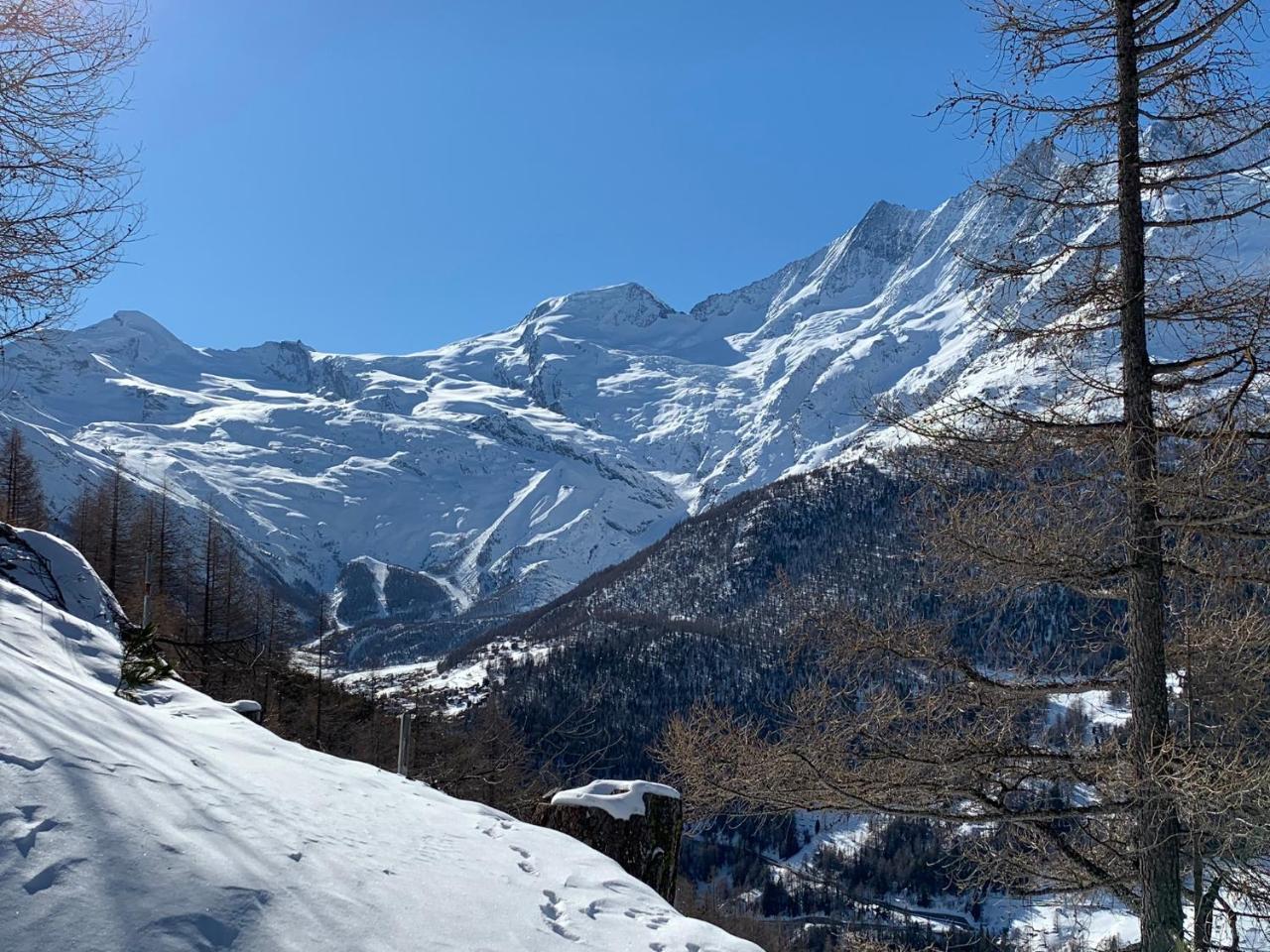 Apartment Bergfreude Saas-Grund Dış mekan fotoğraf