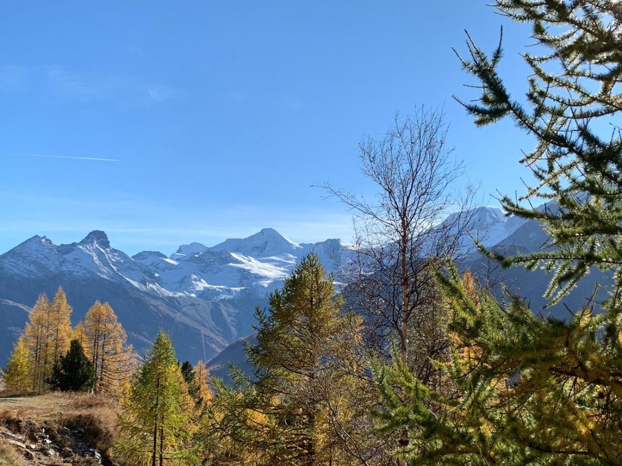 Apartment Bergfreude Saas-Grund Dış mekan fotoğraf