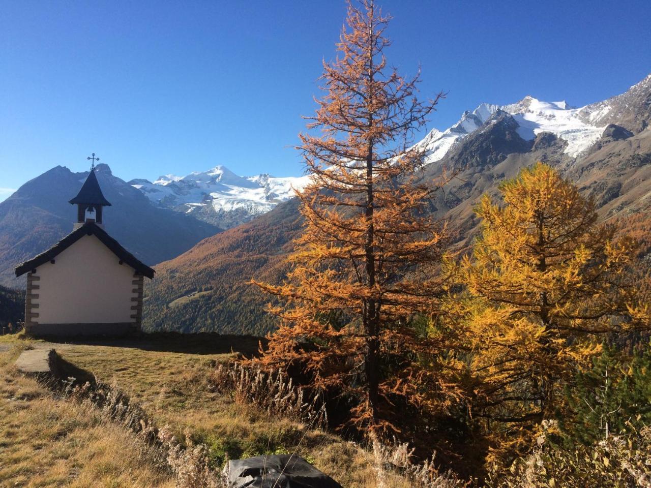 Apartment Bergfreude Saas-Grund Dış mekan fotoğraf